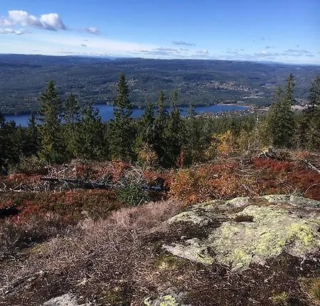 فندق مبيت وإفطار Hadeland