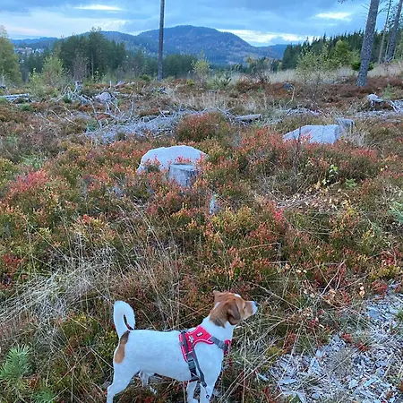 Hadeland Bed & Breakfast *