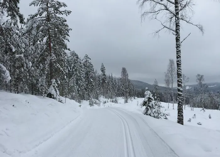 Hadeland Oda ve Kahvaltı *