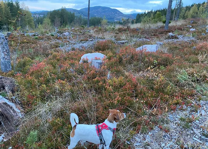 Hadeland Oda ve Kahvaltı *