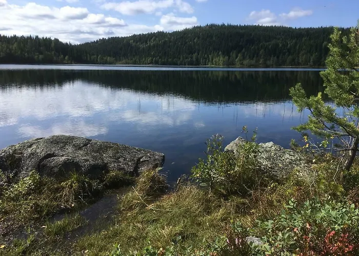 Oda ve Kahvaltı Hadeland Harestua